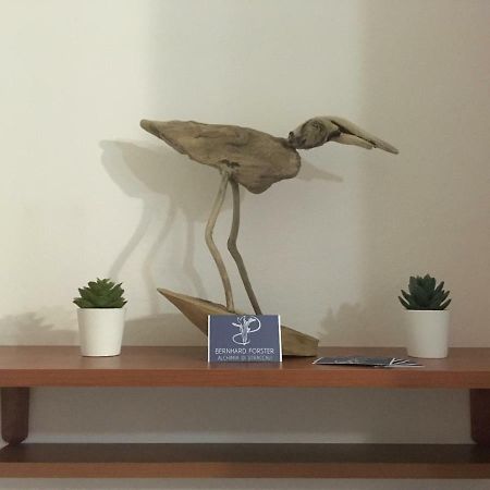 Il Mio Piccolo Angolo Di Mare Διαμέρισμα Βιαρέτζιο Εξωτερικό φωτογραφία