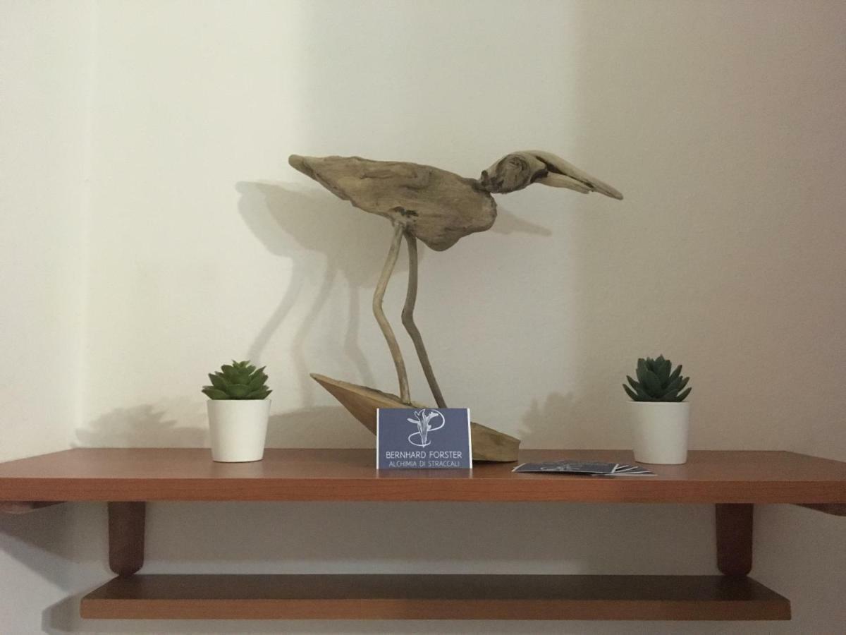 Il Mio Piccolo Angolo Di Mare Διαμέρισμα Βιαρέτζιο Εξωτερικό φωτογραφία